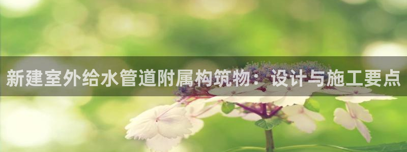 天辰娱乐股东