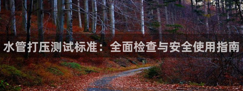 天辰娱乐557696