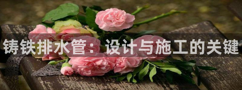 天辰娱乐传媒