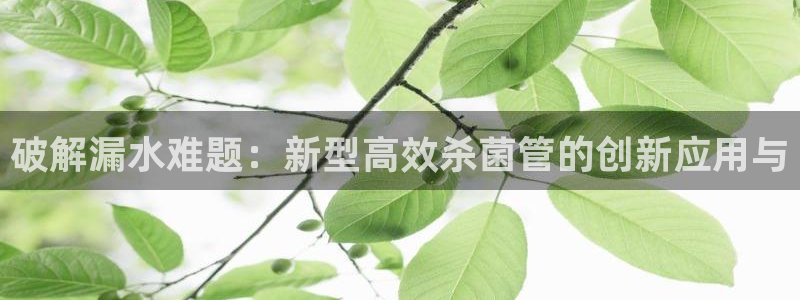 天辰娱乐官方登录下载