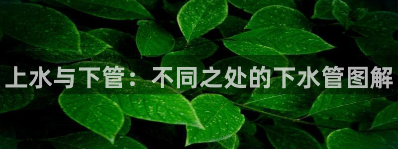 天辰登陆娱乐