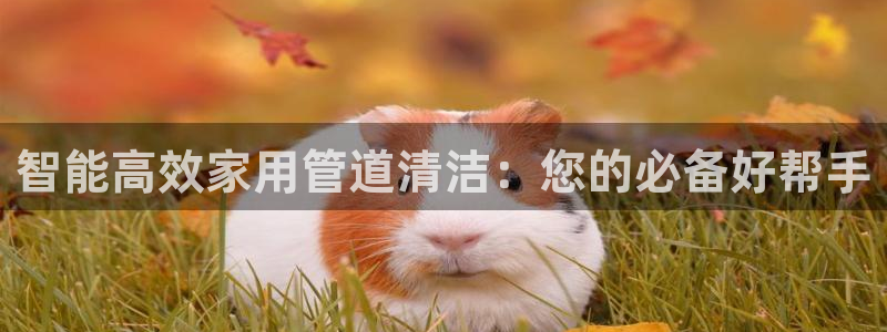 天辰娱乐说