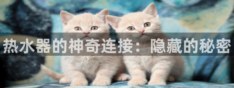 天辰娱乐说