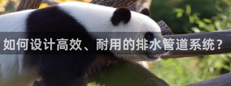 天辰娱乐注册登录