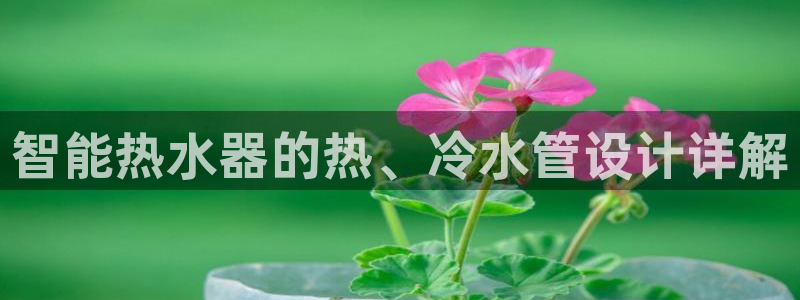 广东天辰娱乐