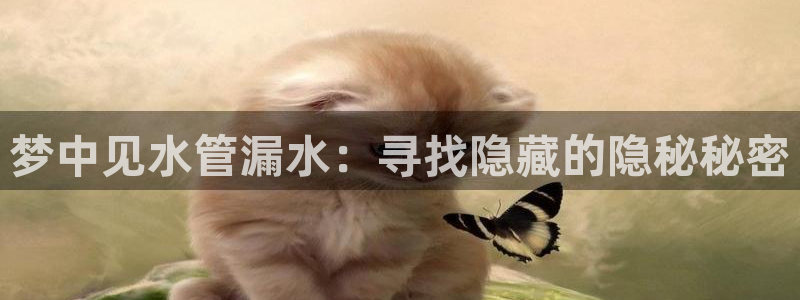 天辰娱乐服务