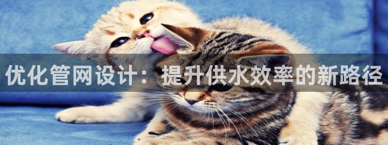 天辰娱乐论坛