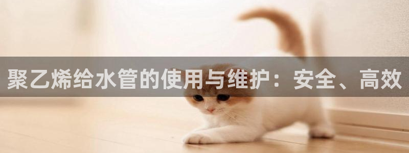 手机上怎么下载天辰娱乐