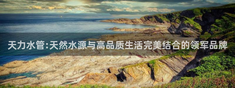 天辰娱乐分红