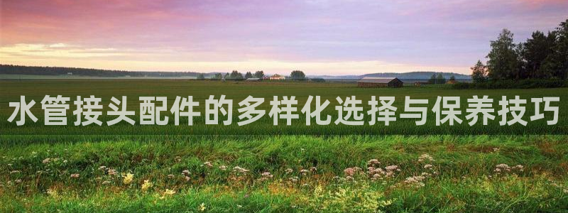 天辰娱乐指定