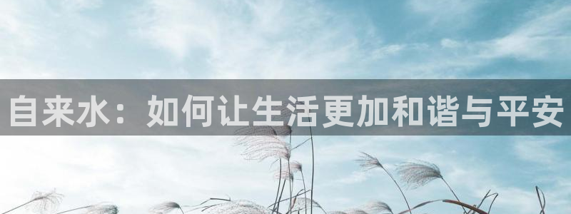 天辰娱乐-18113