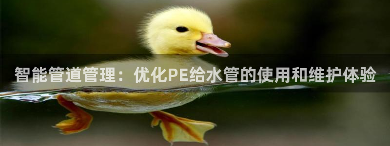 天辰娱乐总管年薪