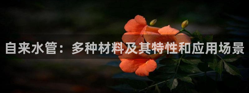 天辰娱乐测速