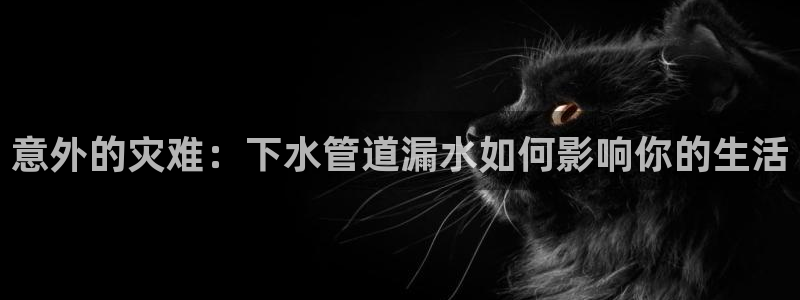天辰娱乐欢乐
