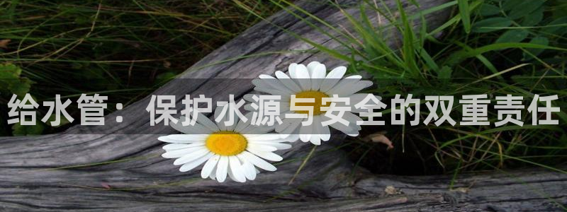 手机上怎么下载天辰娱乐
