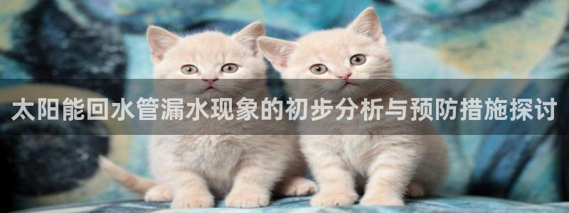 天辰娱乐 39974