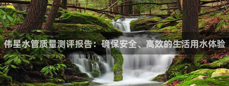 天辰娱乐下载