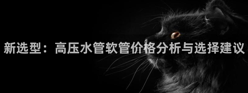 天辰娱乐十分彩
