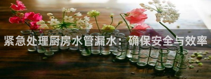 天辰娱乐白屏