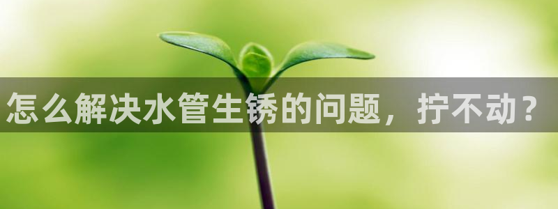 天辰娱乐平台地址在哪里