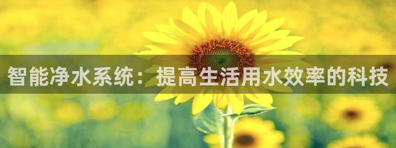 天辰娱乐60447