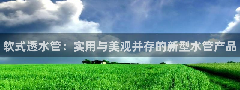 天辰娱乐481928