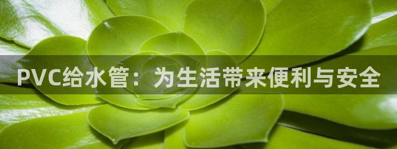 天辰娱乐待遇