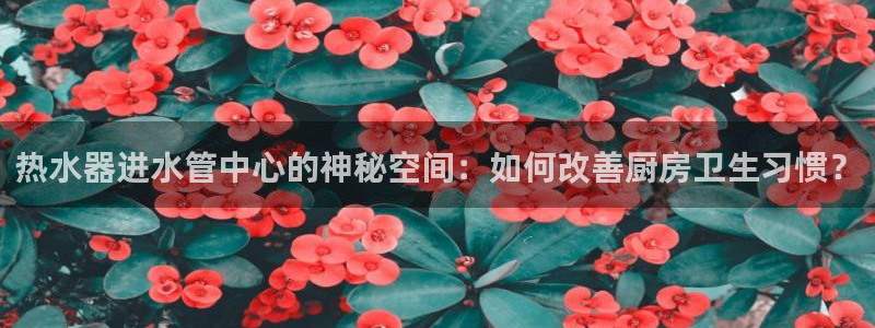 天辰娱乐维护