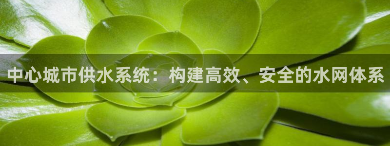 天辰娱乐服务