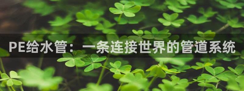 天辰娱乐_675138