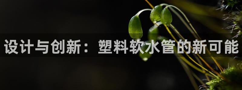 天辰娱乐官