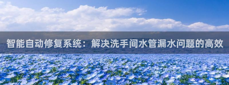 天辰团队贝高娱乐