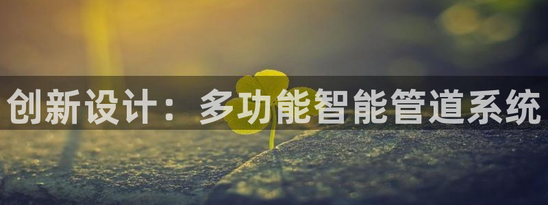 天辰娱乐股东