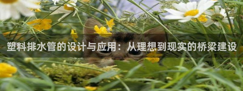 天辰娱乐传媒