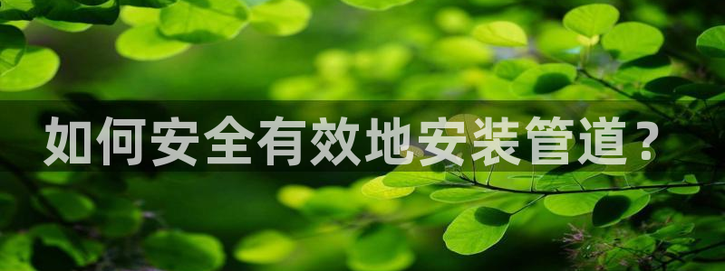天辰娱乐 qq