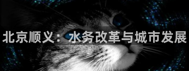 天辰娱乐官网平台入口