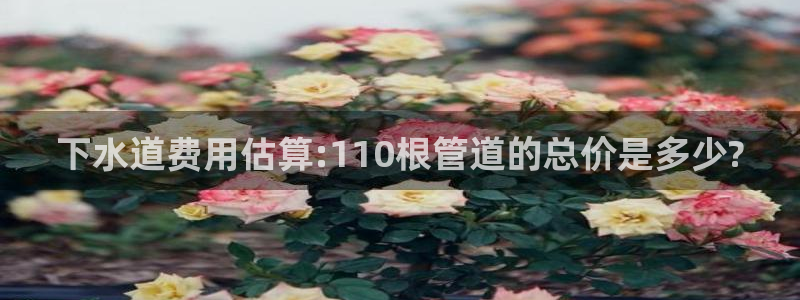 天辰娱乐84566