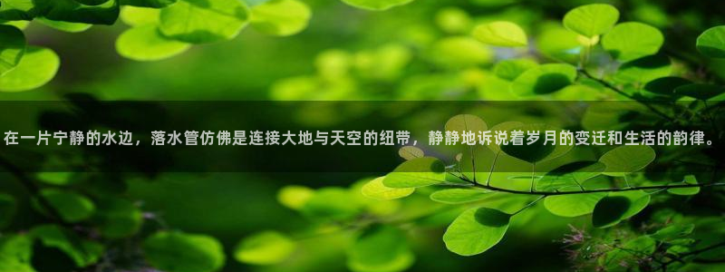 天辰娱乐44616