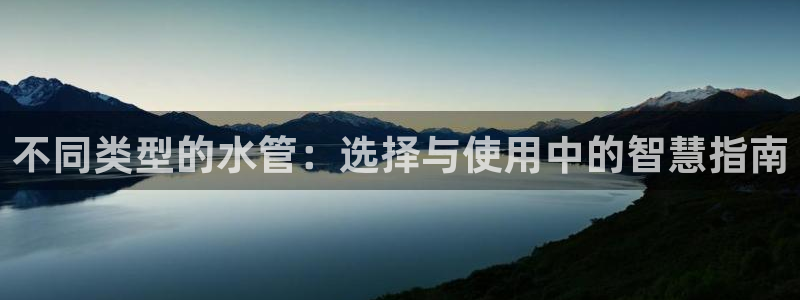 天辰娱乐2