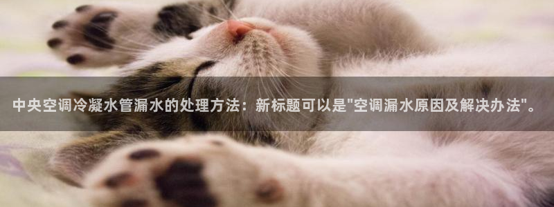天辰娱乐集团