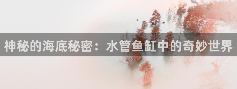天辰娱乐728567