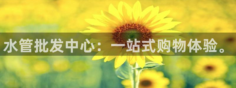 天辰娱乐直属