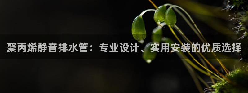 天辰娱乐黑人