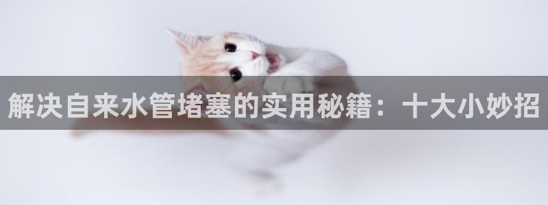 天辰娱乐官