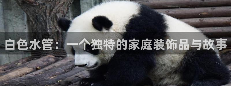 天辰娱乐主页