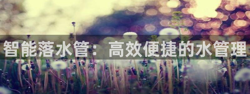 天辰娱乐卡