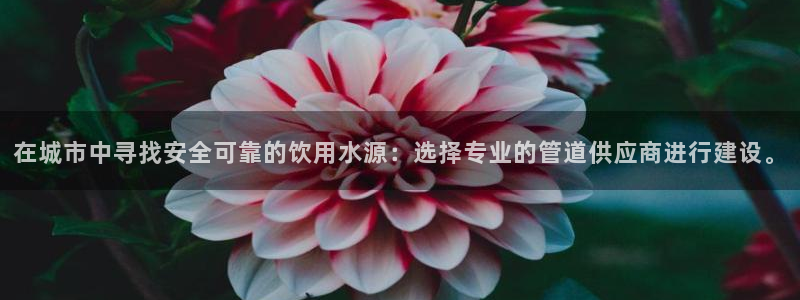 天辰娱乐75775