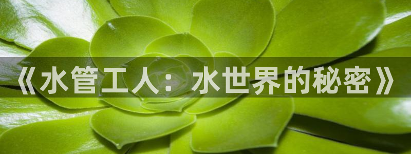 天辰娱乐招商