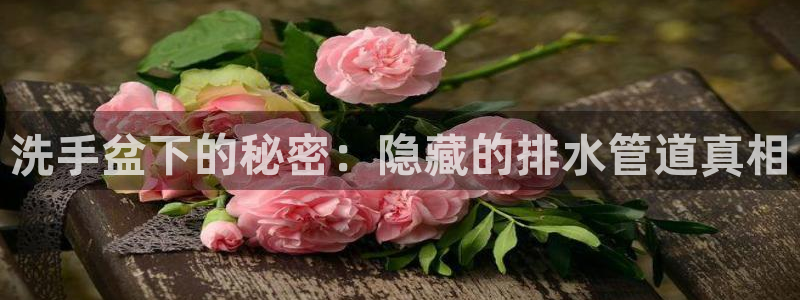 天辰娱乐游戏平台怎么样