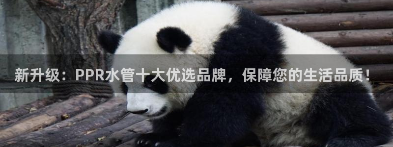 哈尔滨天辰娱乐